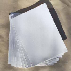 CHARTAE<br> (geprepareerd papier los)