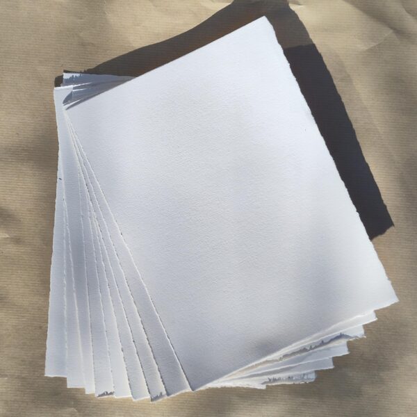 CHARTAE<br> (geprepareerd papier los)